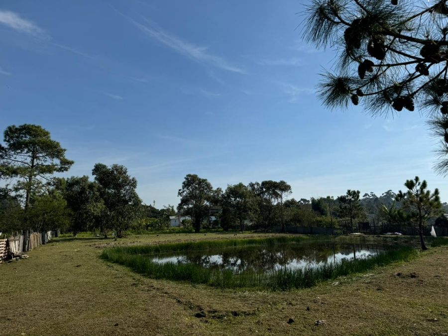 Sítio - Venda - Barbacena - Laguna - SC