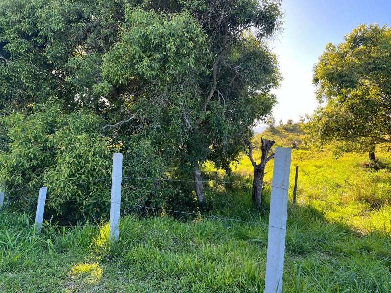 Terreno - Venda - Nova Fazenda - Laguna - SC