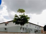 Minha Casa, Minha Vida tem meta de contratar 2 milhes de unidades habitacionais at 2026